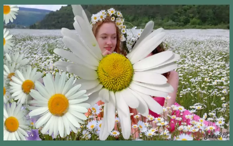 Расстаться нельзя остаться